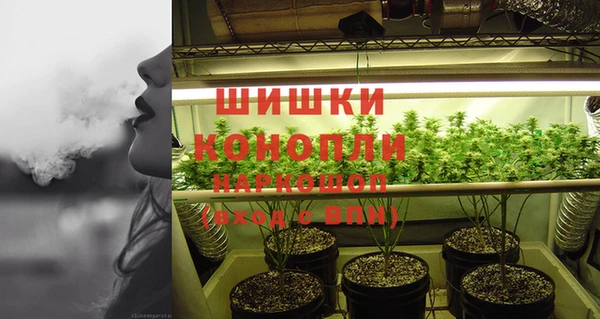 прущий лед Инсар