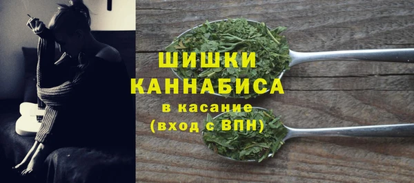 гашик Бородино