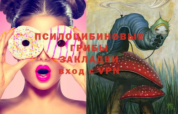 тгк Бугульма