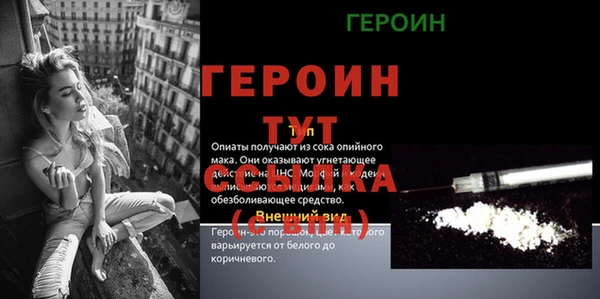 гашик Бородино